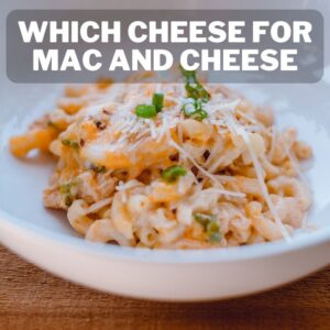 Which Cheese is Best for Macaroni and Cheese? 1