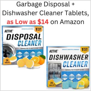 The Best Store-Bought Garbage Disposal + Dishwasher Cleaner Tablets, as Low as $14 on Amazon 1