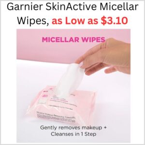The Best Store-Bought Garnier SkinActive Micellar Wipes, as Low as $3.10 on Amazon 1