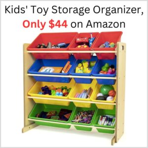 Kids' Toy Storage Organizer, Only $44 on Amazon 1