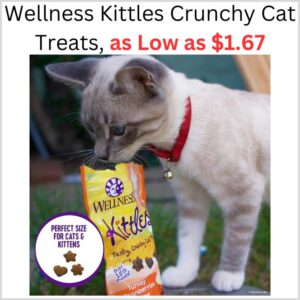 The Best Store-Bought Wellness Kittles Crunchy Cat Treats, as Low as $1.67 on Amazon 1