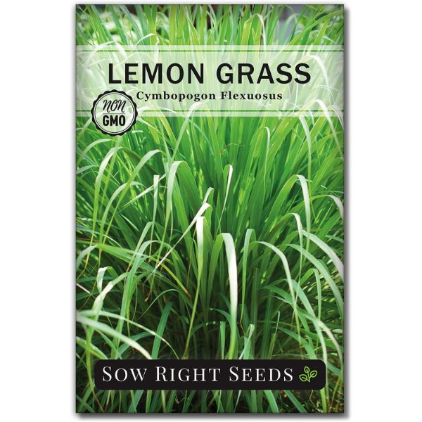 sow right seeds lemon grass seed store-bought via amazon.com 2901