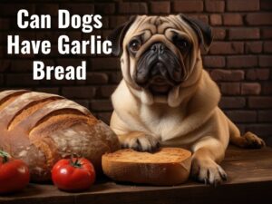 Can Dogs Eat Garlic Bread? Is It Considered Toxic? 0