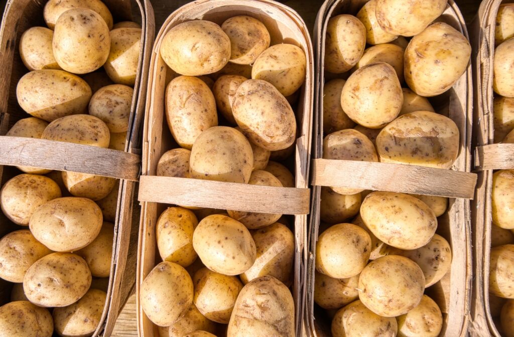 BSB-how-to-grow-potatoes-from-store-bought-2-3972