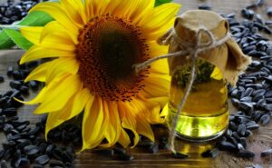 BSB-sunflower-oil-vs-safflower-oil-0-4593