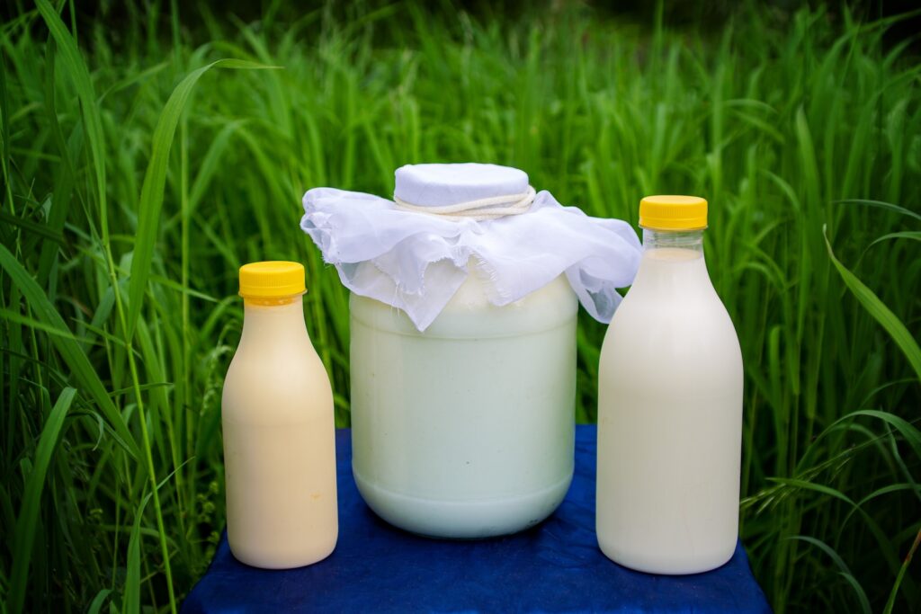 BSB-whole-milk-vs-homogenized-milk-0-4638